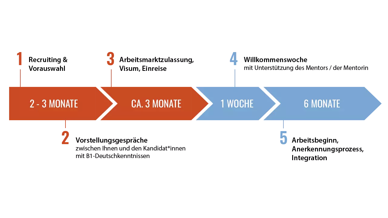Fachkräftevermittlung von Azubis - Programmablauf